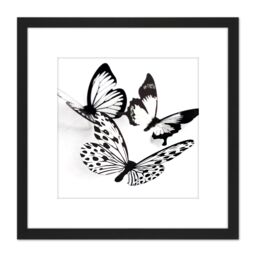 Artery8 Three Black White Butterflies Group Collage Photo 8X8 Inch Square Wooden Framed Wall Art Print Picture with Mount - thumbnail 1