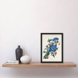 Artery8 John James Audubon Framed Wall Art Print Blue Jay & Trumpet Flowers in White - Size: A4 - thumbnail 2