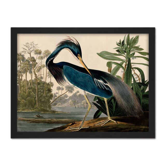 "Artery8 Wall Art Print Audubon Birds Louisiana Heron Painting Large Framed Wall Décor Art in Light Oak - Size: W18"" x H24""" - image 1