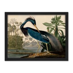 "Artery8 Wall Art Print Audubon Birds Louisiana Heron Painting Large Framed Wall Décor Art in Light Oak - Size: W18"" x H24""" - thumbnail 1