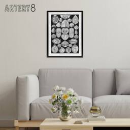 "Artery8 Spirobranchus Vintage Marine Life Haeckel Black Framed Canvas Wall Art - Size: W12"" x H16""" - thumbnail 3