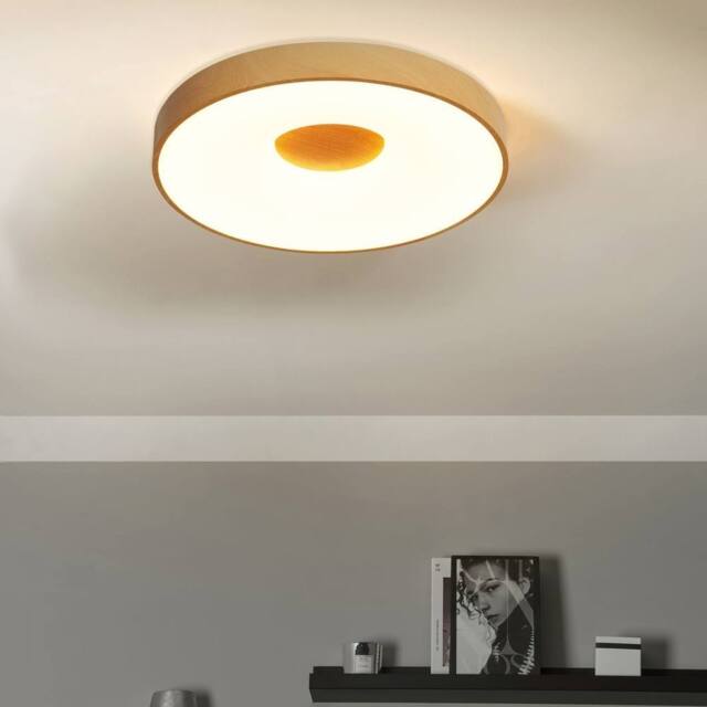 Wyld and Coco Built In LED Ceiling Light 600mm Dimmable Remote Colour in Brown - image 1