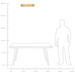 Wyld and Coco Built In LED Ceiling Light 600mm Dimmable Remote Colour in Brown - thumbnail 7