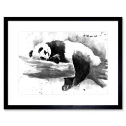 "Artery8 Panda Sleeping Watercolour Black White 12x16"" Framed Art Print in Grey - Size: W12"" x H16""" - thumbnail 1