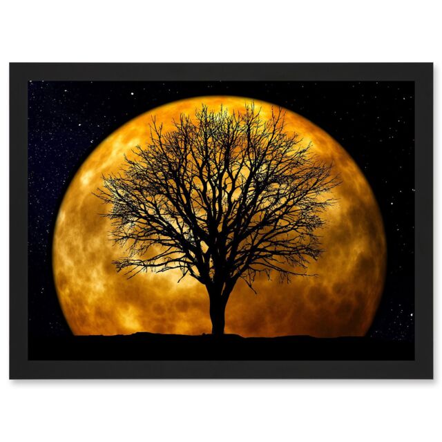 Artery8 Photo Composition Nature Silhouette Moon Star Tree Artwork Framed Wall Art Print A4 in Black - image 1