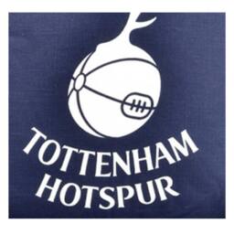 Tottenham Hotspur FC Official Football Crest Cushion in Navy - thumbnail 2