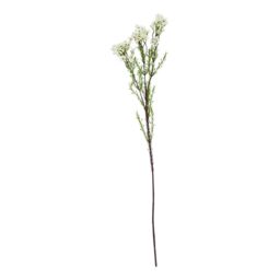 Hill Interiors The Natural Garden Collection Waxflower Artificial Flower in White - thumbnail 2