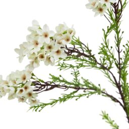 Hill Interiors The Natural Garden Collection Waxflower Artificial Flower in White - thumbnail 3