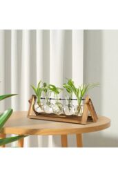 Garden Sanctuary Plant Propagation Station with 5 Bulbs Shape Hydroponic Glass Vase & Wooden Stand in Clear