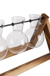 Garden Sanctuary Plant Propagation Station with 5 Bulbs Shape Hydroponic Glass Vase & Wooden Stand in Clear - thumbnail 6