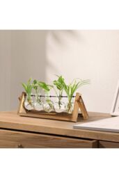 Garden Sanctuary Plant Propagation Station with 5 Bulbs Shape Hydroponic Glass Vase & Wooden Stand in Clear - thumbnail 2