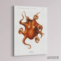 "Artery8 Octopus Vintage Illustration Carl Chun Canvas Wall Art Print in White - Size: W12"" x H16""" - thumbnail 2
