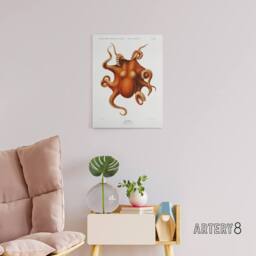 "Artery8 Octopus Vintage Illustration Carl Chun Canvas Wall Art Print in White - Size: W12"" x H16""" - thumbnail 3