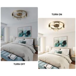 Garwarm 5 - Light 40cm LED Round Acrylic Flush Mount in Metallic Gold - thumbnail 9