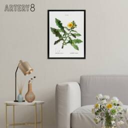 "Artery8 Sow Thistle Flower Bloom Redoute Vintage Black Framed Canvas Wall Art in White - Size: W12"" x H16""" - thumbnail 3