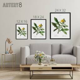 "Artery8 Sow Thistle Flower Bloom Redoute Vintage Black Framed Canvas Wall Art in White - Size: W12"" x H16""" - thumbnail 4