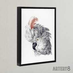 "Artery8 Cockatoo Parrot Head Watercolour Schouman Framed Canvas Wall Art Print in White - Size: W12"" x H16""" - thumbnail 2