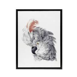 "Artery8 Cockatoo Parrot Head Watercolour Schouman Framed Canvas Wall Art Print in White - Size: W12"" x H16""" - thumbnail 1