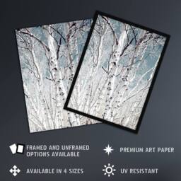 "Artery8 Birch tree forest Carol M Highsmith Framed Wall Art Print - Size: W12"" x H16""" - thumbnail 2