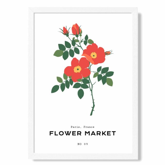 ARTZE Orange Cosmos Plant Flower Market Simplicity Framed Print SIZE: A2 with White Frame - image 1