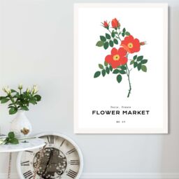 ARTZE Orange Cosmos Plant Flower Market Simplicity Framed Print SIZE: A2 with White Frame - thumbnail 2