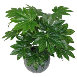 Leaf 60cm Artificial Japanese Aralia Plant Evergreen in Green