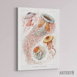 "Artery8 Lion's Mane Jellyfish Haeckel Botanical Canvas Wall Art in White - Size: W18"" x H24""" - thumbnail 2