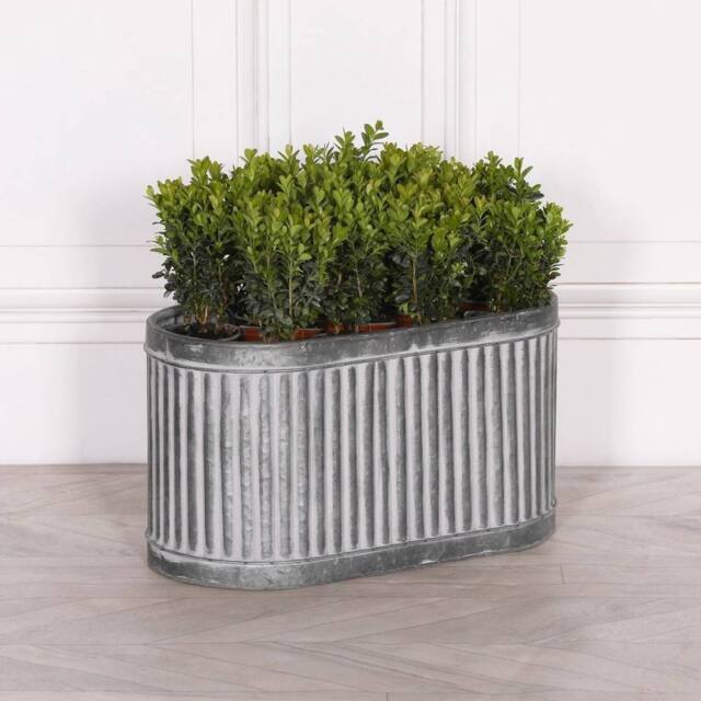FLAVORA Medium VINTAGE AGED RIBBED GALVANISED METAL TIN in Grey - Size: 100g - image 1