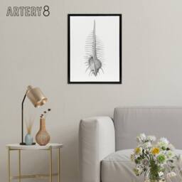 "Artery8 Murex Shell Seashell Drawing Haeckel Botanical Framed Canvas Wall Art in White - Size: W12"" x H16""" - thumbnail 3