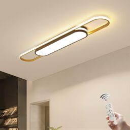 Garwarm Modern Flush Mount Dimmable Acrylic LED Ceiling Lamp with Remote Control in Gold