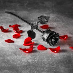 Novecrafto World of Nature Handcrafted Iron Rose For Anniversary - Black 100% Forged Iron - thumbnail 4