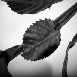 Novecrafto World of Nature Handcrafted Iron Rose For Anniversary - Black 100% Forged Iron - thumbnail 5