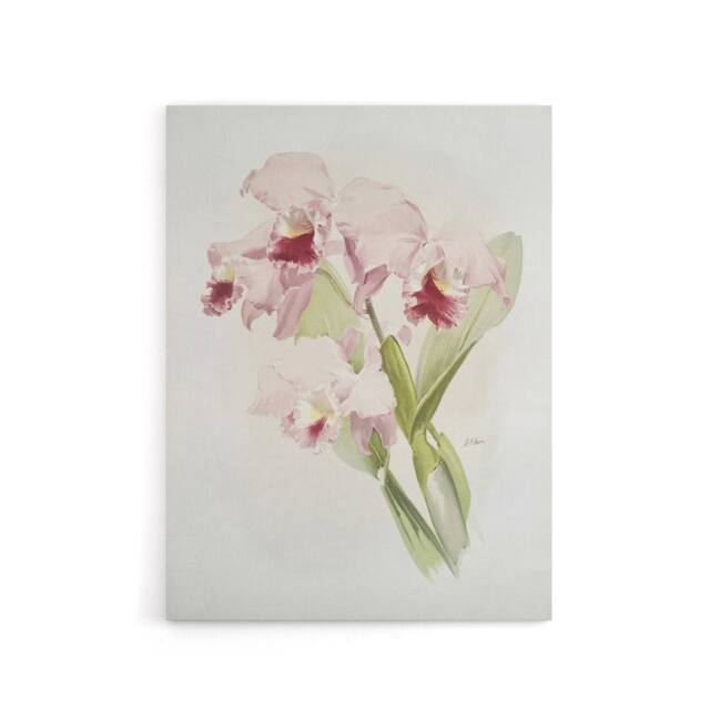"Artery8 Frederick Sander Cattleya Labiata Orchid Flowers Canvas Wall Art Print - Size: W12"" x H16""" - image 1