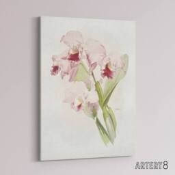 "Artery8 Frederick Sander Cattleya Labiata Orchid Flowers Canvas Wall Art Print - Size: W12"" x H16""" - thumbnail 2