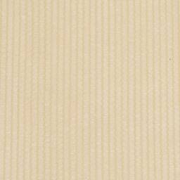 Berkfield Home Outdoor Roller Blind Cream 60x230 cm HDPE - thumbnail 3