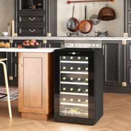 HOMCOM 24 Bottles Freestanding Wine Fridge with Glass Door Wine Cooler Fridge in Black