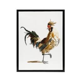 "Artery8 A Rooster Watercolour Painting Johan Teyler Black Framed Canvas Art in White - Size: W12"" x H16""" - thumbnail 1