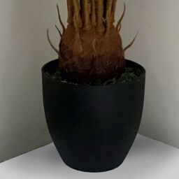 Leaf Large Artificial Palm Tree 70cm Cycas Realistic Plant Design UK Premium Botanik in Green - thumbnail 3