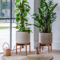 Ivyline Valetta Ivory Speckled Planter with Stand H33cm D24cm - thumbnail 5