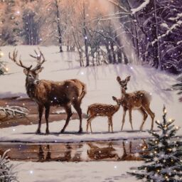 Samuel Alexander 40cm Battery Operated Light up Family of Deers Christmas Canvas with LEDs in White - thumbnail 6