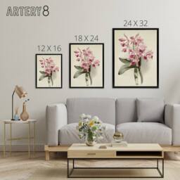 "Artery8 Frederick Sander Cattleya Elegans Orchid Flowers Framed Canvas Art in White - Size: W12"" x H16""" - thumbnail 4
