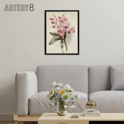 "Artery8 Frederick Sander Cattleya Elegans Orchid Flowers Framed Canvas Art in White - Size: W12"" x H16""" - thumbnail 3