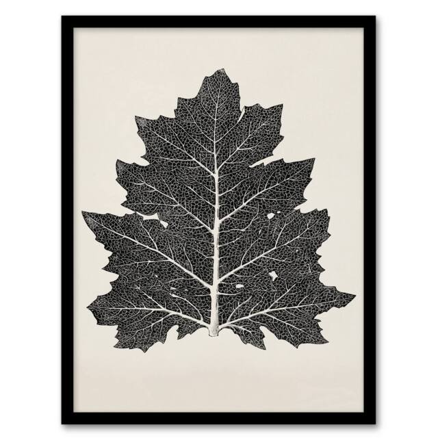 Artery8 Owen Jones Framed Wall Art Print Vintage Black & White Leaf Drawing in Beige - Size: A4 - image 1