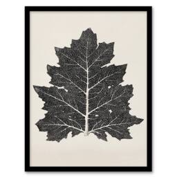 Artery8 Owen Jones Framed Wall Art Print Vintage Black & White Leaf Drawing in Beige - Size: A4 - thumbnail 1