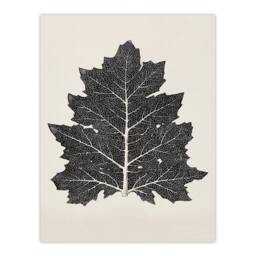 Artery8 Owen Jones Framed Wall Art Print Vintage Black & White Leaf Drawing in Beige - Size: A4 - thumbnail 3