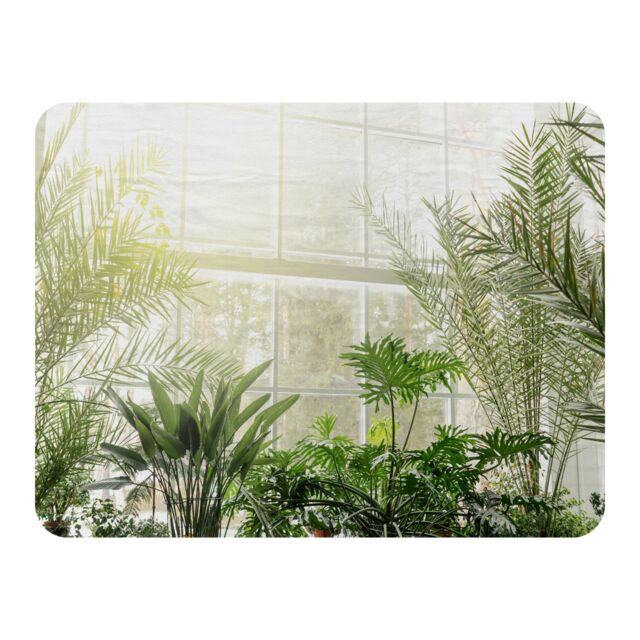 Benjamin Tate Design Green plants in botanical gardens Designer Blanket in Natural - Size: 120 cm x 150 cm - image 1