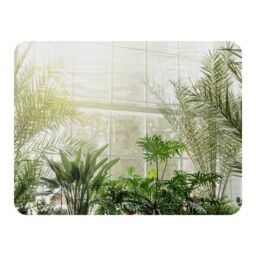 Benjamin Tate Design Green plants in botanical gardens Designer Blanket in Natural - Size: 120 cm x 150 cm - thumbnail 1