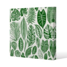 Benjamin Tate Design Leaves Mixed (Canvas Print) / 127 x 127 x 4cm in Natural - Size: 127 x 127 x 4 cm - thumbnail 1