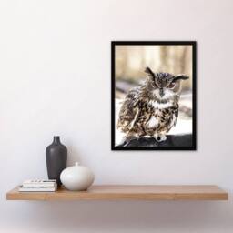 Artery8 Carol M Highsmith Long Eared Owl Perched On A Rock Framed Art Print - Size: A4 - thumbnail 2