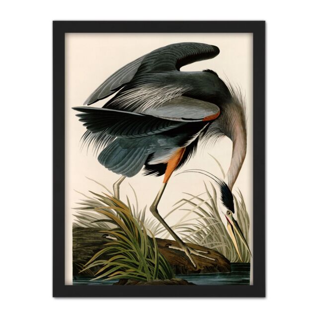 "Artery8 Wall Art Print Audubon Birds Great Blue Heron Painting Large Framed Wall Décor Art in Brown - Size: W18"" x H24""" - image 1